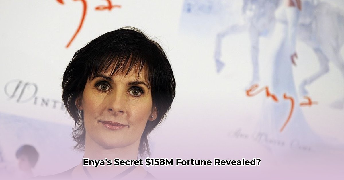 enya-net-worth